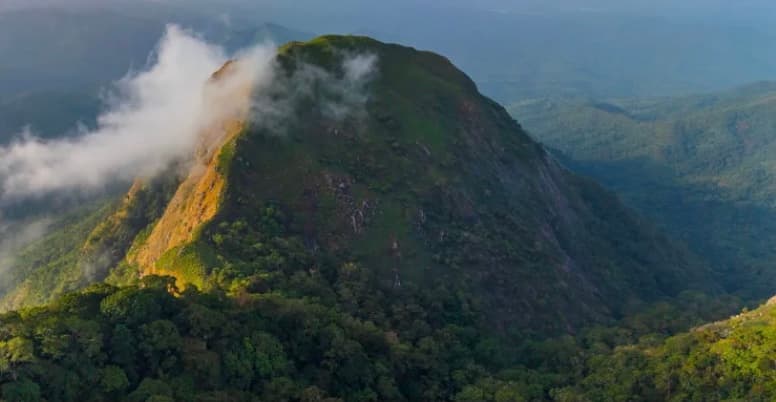 Aerial view of a forested mountain peak with low cloud on its slopes